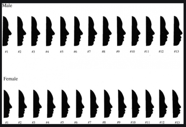 817a8949ab03a0e5de84c0d6e65c9adf_1606882361_2396.png